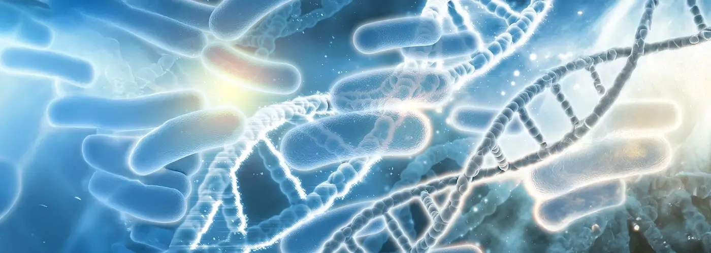 Escherichia coli is a gram-negative, facultative anaerobic, rod-shaped, coliform bacteria